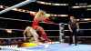 ppv25 195