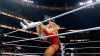 ppv25 229