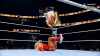 ppv25 238